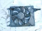 Kühlerlüfter Lüftermotor Nissan Qashqai, I 2006.01 - 2010.06 5393199,n5393199