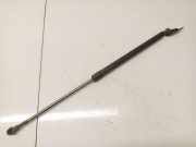 Gasdruckfeder Kofferraum Nissan X-Trail, 2001.06 - 2007.06 904518H310,904518H310 0438NY0410N