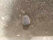 Waschwasserd?se Scheibenreinigung Volvo S40, 2004.01 - 2007.03 Gebraucht,