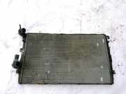 Wasserkühler Skoda Octavia, II 2004.02 - 2009.03 Gebraucht,