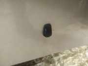 Waschwasserdüse Scheibenreinigung Toyota Avensis Verso, 2001.08 - 2009.11 Gebraucht,