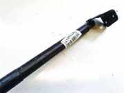 Gasdruckfeder Kofferraum Citroen DS3, I 2009.01 - 2016.06 9687550980,