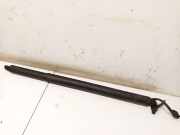 Gasdruckfeder Kofferraum Hyundai Tucson, IV 2021 - 2024 81831N7100,