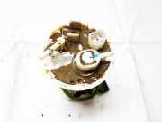 Kraftstoffpumpe Hyundai i10, I PA 2007.10 - 2010.06 311100X000,31110-0X000