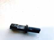 Gl?hbirnenfassung Blinker Renault Scenic, II 2003.06 - 2006.06 Gebraucht,