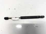 Gasdruckfeder Kofferraum Nissan Primera, P12 2002.01 - 2008.12 0867qz0510n,