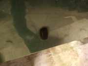 Waschwasserdüse Scheibenreinigung Ford Focus, 1998.10 - 2002.10 Gebraucht ,