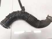 Schlauch für Luftversorgung Renault Megane, II 2006.06 - 2008.11 facelift 8200500384a,