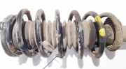 Fahrwerksfeder vorne Citroen C5, II 2008.02 - 2011.01 Gebraucht,