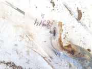 Stabilisator Vorne Skoda Superb, I 2001.12 - 2008.03 Gebraucht,