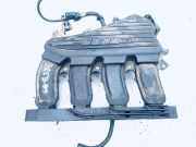 Ansaugkrümmer Fiat Stilo, 2001.10 - 2007.01 46535698, b671