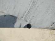 Waschwasserdüse Scheibenreinigung Renault Espace, III 1996.11 - 2002.10 Gebraucht ,