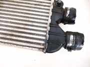 Ladeluftkühler Fiat Marea, I 1996.01 - 2002.12 46440215,