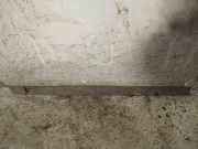 Zierleiste Tür Zier-Schutzleiste - Vorne Linke Citroen C4, I 2004.11 - 2008.06 Gebraucht,