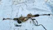 Lenkgetriebe Citroen C3, I 2005.06 - 2009.11 facelift 6200000050,