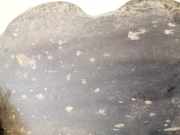 Unterfahrschutz Nissan Qashqai, I 2006.01 - 2010.06 76748jd00a,