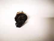 Kennzeichenleuchte Suzuki Ignis 2000 - 2006 3591075f3, 35910-75f3