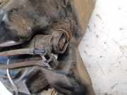 Waschwasserpumpe Scheibenreinigung Citroen C5, I 2001.03 - 2008.02 Gebraucht,