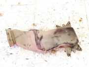 Schlauch für Luftversorgung Renault Zoe I 2012 - 2020.06 278300712r,z4591001001