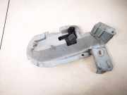 T?rinnengriff - Hinten Rechts Renault Espace, III 1996.11 - 2002.10 Gebraucht,