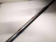 Zierleiste Leiste - Vorne Linke Lexus IS, II 2005.10 - 2013.03 Gebraucht,