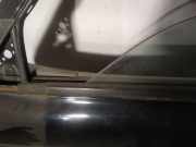 Zierleiste Leiste - Vorne Linke Mitsubishi Pajero Sport, I K90 1996.01 - 2000.06 Gebraucht,