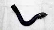Schlauch für Luftversorgung Nissan Qashqai, I 2006.01 - 2010.06 Gebraucht,