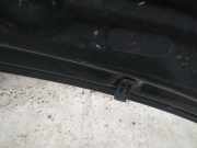 Waschwasserdüse Scheibenreinigung Volkswagen Bora, 1998.01 - 2005.12 Gebraucht,