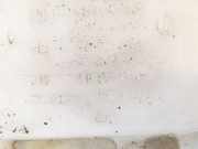 Scheibenwaschbehälter Vorne Wischwasserbehälter Ford Focus, 2004.11 - 2008.06 4m5113k163af, 4m51-13k163-af 4m51-13k163-bf