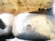 Ausgleichsbehälter Ford C-MAX, 2003.01 - 2007.06 3M5H8K218AH, D2L4A