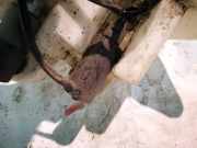 Waschwasserpumpe Scheibenreinigung Toyota Auris, I E15 2006.10 - 2012.10 Gebraucht,