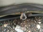 Türfangband Türbremse Türstopper - Vorne Linke Toyota Prius, 2003.06 - 2009.01 Gebraucht ,