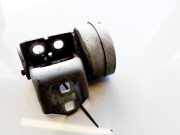 Türscharnier Hinten Renault Scenic, II 2003.06 - 2006.06 Gebraucht,