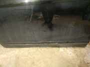 Zierleiste T?r Zier-Schutzleiste - Vorne Linke Honda FR-V, 2004.08 - 2009.12 Gebraucht,