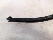 Rollenf?hrung Schiebet?r Renault Kangoo, 1997.09 - 2003.04 Gebraucht,