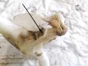 Scheibenwaschbehälter Vorne Wischwasserbehälter Chrysler 300C, I 2005.01 - 2010.06 Gebraucht,