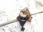 Wischermotor vorne Volkswagen LT, 1975.01 - 1996.06 Gebraucht,