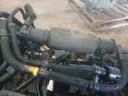 Kraftstoffleitung Handpumpe Citroen C4, I 2004.11 - 2008.06 Gebraucht,