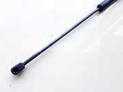 Gasdruckfeder Kofferraum Ford Kuga, I 2008.01 - 2012.06 8V41S406A10AF,8V41-S406A10-AF