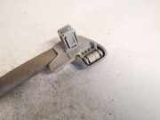 Haltegriff Haltegriff Verdeckgriff - Hinten Rechts Renault Megane, III 2008.11 - 2012.06 Gebraucht,