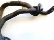 Kühlerschlauch Volkswagen Passat, B5+ 2000.11 - 2005.05 Gebraucht, AWX