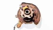 Radnabe Achsschenkel - Hinten Linke Nissan Murano, Z50 2003.08 - 2008.06 Gebraucht,