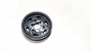 Riemenscheibe für Pumpe Volkswagen Bora, 1998.01 - 2005.12 038145255b, Agr