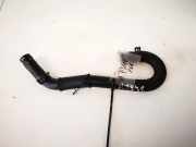 Kühlerschlauch Renault Vel Satis, 2002.06 - 2009.12 Gebraucht,