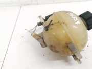 Ausgleichsbehälter Peugeot 206, 2002.07 - 2009.01 facelift 9617376880, 63299018