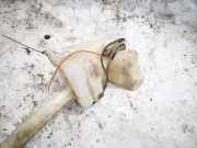 Scheibenwaschbehälter Vorne Wischwasserbehälter Citroen Xsara Picasso, I 1999.12 - 2004.05 9636431080,