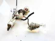 Lampenträger Heckleuchte - Hinten Kia Ceed, I 2006.12 - 2010.05 Gebraucht,