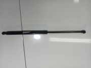 Gasdruckfeder Kofferraum Renault Laguna, III 2007.10 - 2010.11 844304692R,844304692R 700021052C0 164 17 16417