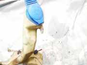 Scheibenwaschbehälter Vorne Wischwasserbehälter Skoda Superb, I 2001.12 - 2008.03 3b0855453af,