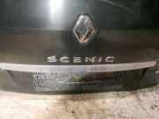 Kennzeichenleuchte Renault Scenic, III 2009.02 - 2013.06 Gebraucht,